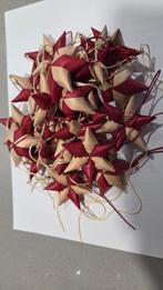 19 houten sterretjes, Enlèvement