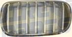 Bmw X5 Serie F15 (12/13-11/18) Motorkap Grille Links Origine, Auto-onderdelen, -, Voor, -, Nieuw
