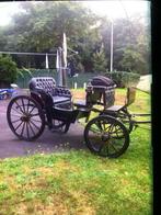 Paard en Wagen, Dieren en Toebehoren, Zo goed als nieuw, Paard