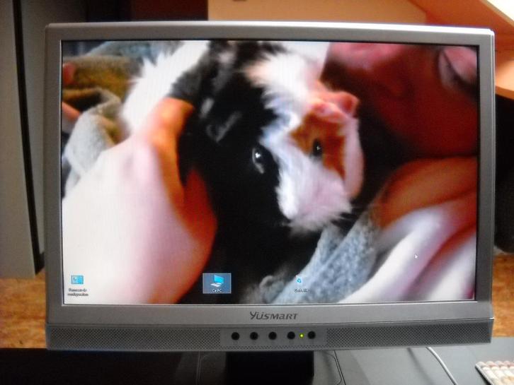 matériel informatique, Informatique & Logiciels, Moniteurs, Utilisé, Enlèvement