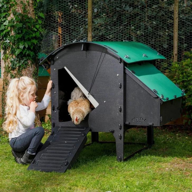 Nestera kippenhok: Lodge model, medium. OP VOORRAAD, Dieren en Toebehoren, Pluimvee | Toebehoren, Nieuw, Kippenhok of Kippenren