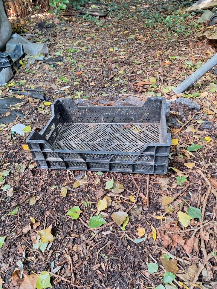 caisse horticole/bac empilable, Tuin en Terras, Bergingen en Tuinkasten, Zo goed als nieuw, Ophalen