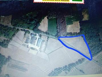 weide met stal te koop Opglabbeek GERESERVEERD!!! beschikbaar voor biedingen