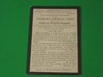 bidprentje °1878 SLIJPE +1897 Hieronymus LOGIER, Verzamelen, Bidprentjes en Rouwkaarten, Ophalen of Verzenden, Bidprentje