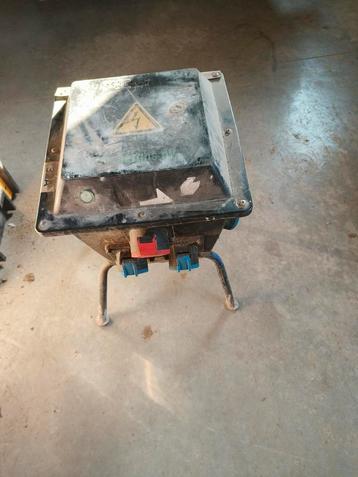 Werfpaddestoel  beschikbaar voor biedingen