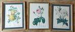 Set van 4 rozenprints, Ophalen of Verzenden