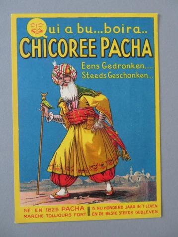 RARE postkaart Chicoree PACHA !  in topstaat  beschikbaar voor biedingen