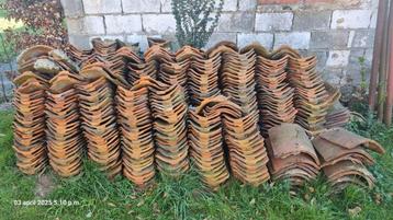 boomse pannen +/- 1200 stuks beschikbaar voor biedingen