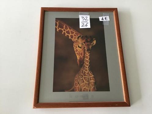 15 tal kaders aan slechts 4 euro per stuk, Huis en Inrichting, Woonaccessoires | Wanddecoraties, Zo goed als nieuw, Ophalen of Verzenden