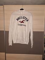 Dames trui hollister, Wit, Maat 42/44 (L), Ophalen of Verzenden, Gedragen