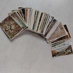 Groot lot prentjes Côte d'Or uit de reeks Faunaflor, Ophalen of Verzenden, Zo goed als nieuw