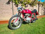 MV Agusta 350S Elettronica 1974, Motoren