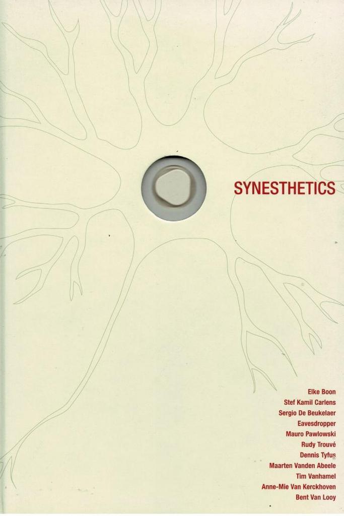 Synesthetics Pop & Art in Belgium, Boeken, Kunst en Cultuur | Beeldend, Gelezen, Ophalen of Verzenden
