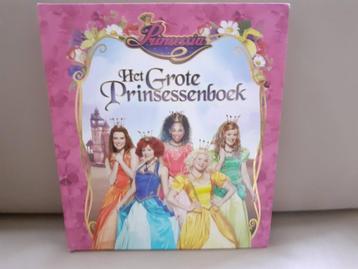 Het grote prinsessenboek Prinsessia beschikbaar voor biedingen