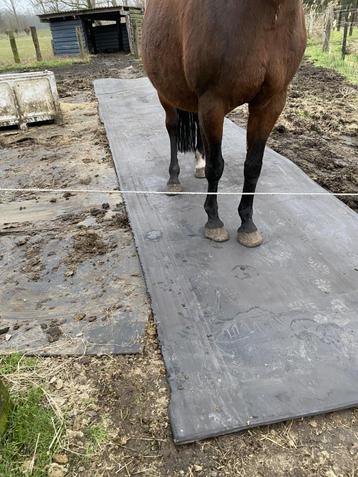 rubbermatten/ paddock verharden, Mise à l'étable