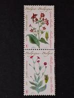 België OBP 4000/01 postfris 2010, Postzegels en Munten, Ophalen of Verzenden, Postfris, Postfris