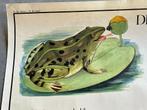 Dubbelzijdige schoolplaat Rossignol, Antiek en Kunst, Ophalen of Verzenden