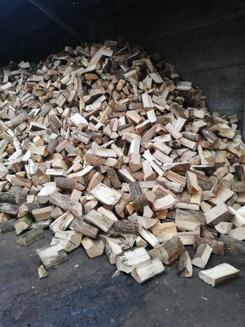 6 Six stères de bois de chauffage, Tuin en Terras, Brandhout, Blokken, Beukenhout, 3 tot 6 m³, Verzenden