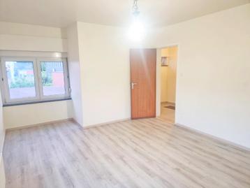 1 slaapkamer appartement–Boomsesteenweg- Wilrijk–45M² -850€ beschikbaar voor biedingen