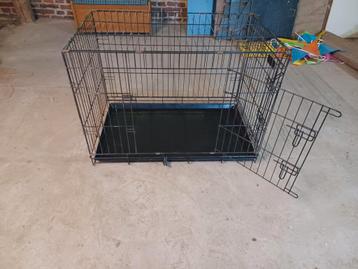 bench hond beschikbaar voor biedingen