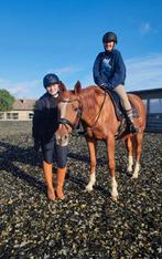 Paardrijles/dressuurles met eigen paard aangeboden