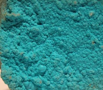 MALACHITE avec CHRYSOCOLLA du Congo, Enlèvement ou Envoi, Minéral