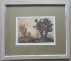 EDMOND VAN DOOREN / BOMEN IN LANDSCHAP / ZW-W ETS / 36x42cm, Antiek en Kunst, Kunst | Etsen en Gravures, Ophalen of Verzenden