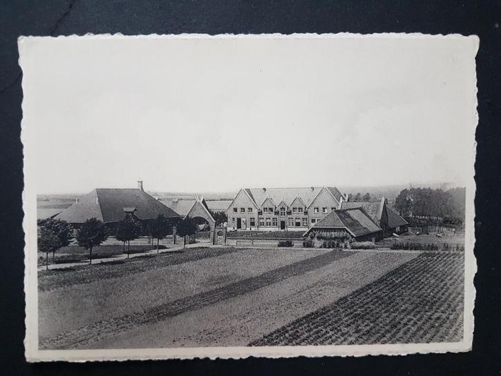 Postkaart Bierbeek Inrichting St-Camillus De Boerderij, Verzamelen, Postkaarten | België, Ongelopen, Vlaams-Brabant, 1940 tot 1960