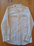 Nieuw hemd - mayoral - 122, Kinderen en Baby's, Mayoral, Overhemd of Blouse, Nieuw, Ophalen of Verzenden