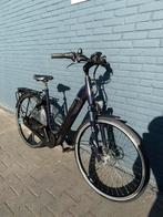 Pegasus Ravenna Evo 8 Electrische Fiets | Bosch Plus Motor, Overige merken, 53 tot 56 cm, Versnellingen, Ophalen of Verzenden