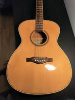 Eco NXT 018 akoustische gitaar, Ophalen, Gebruikt
