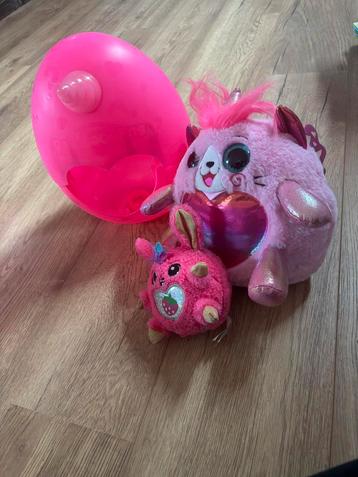 Rainbocorn beschikbaar voor biedingen