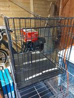 Gratis 2 honden benches, Dieren en Toebehoren, Hondenhokken, Ophalen, Hondenkennel, Gebruikt, 65 tot 100 cm