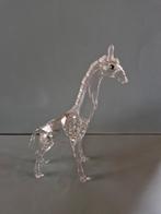 Swarovski baby giraf, Verzamelen, Swarovski, Ophalen of Verzenden, Zo goed als nieuw, Figuurtje
