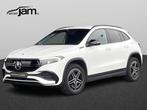 Mercedes-Benz EQA 250 AMG Line 67 kWh (automatique), 1940 kg, Entreprise, Noir, 5 places