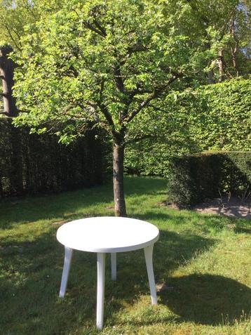 Allibert Ronde Witte Tuintafel beschikbaar voor biedingen