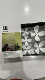 Décoration mural umbra, Enlèvement