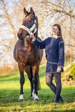 Springpaard met veel potentieel, Jument, Vermifugé, 3 à 6 ans, Cheval de saut