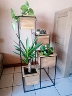 Plantenbak met 4 sierpotten mangohout, Ophalen