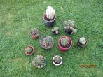 cactussen, Ophalen