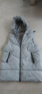 Jas zonder mouwen, Vêtements | Femmes, Blousons sans Manches, Enlèvement ou Envoi, Taille 46/48 (XL) ou plus grande, Vert