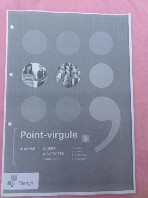 Point-virgule 3 cahier d'activités français Plantyn, Livres, Livres scolaires, Neuf, Français, Secondaire, Enlèvement ou Envoi