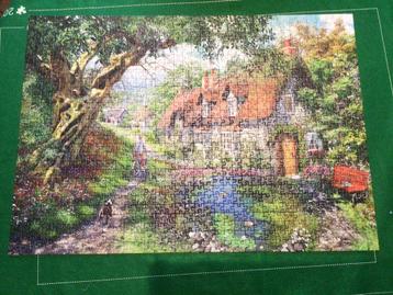 Puzzle Flower hill lane 1000 pièces ravensburger