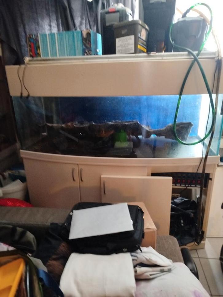 Aquarium te koop, Dieren en Toebehoren, Vissen | Aquaria en Toebehoren, Zo goed als nieuw, Ophalen