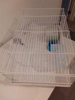 Kooi, Dieren en Toebehoren, Knaagdieren en Konijnen | Hokken en Kooien, Kooi, Gebruikt, Minder dan 75 cm, Ophalen