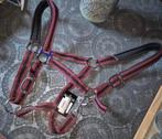 Norton nylon halster full, Dieren en Toebehoren, Ophalen of Verzenden, Nieuw, Overige soorten