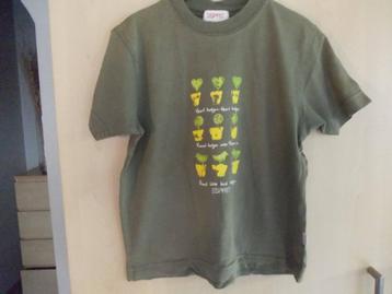 Tshirts, verschillende Merken. maat 128. Jongen. beschikbaar voor biedingen