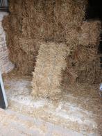 Kleine hooibalen te koop. 3,50€/stuk, Dieren en Toebehoren, Ophalen