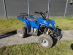 quad, Motoren, 1 cilinder, 110 cc