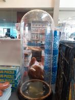 Oude glazen stolp, Ophalen